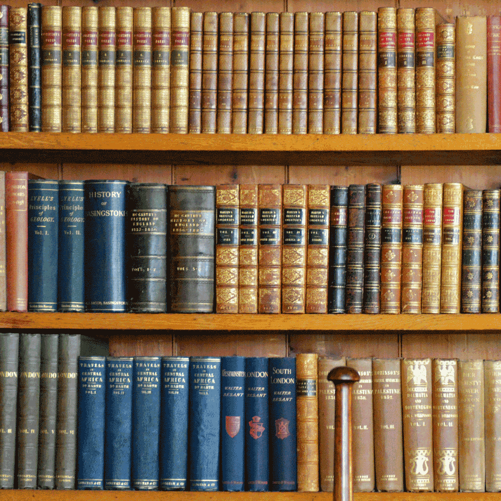 Leather bound books on three shelves in an old style librray.