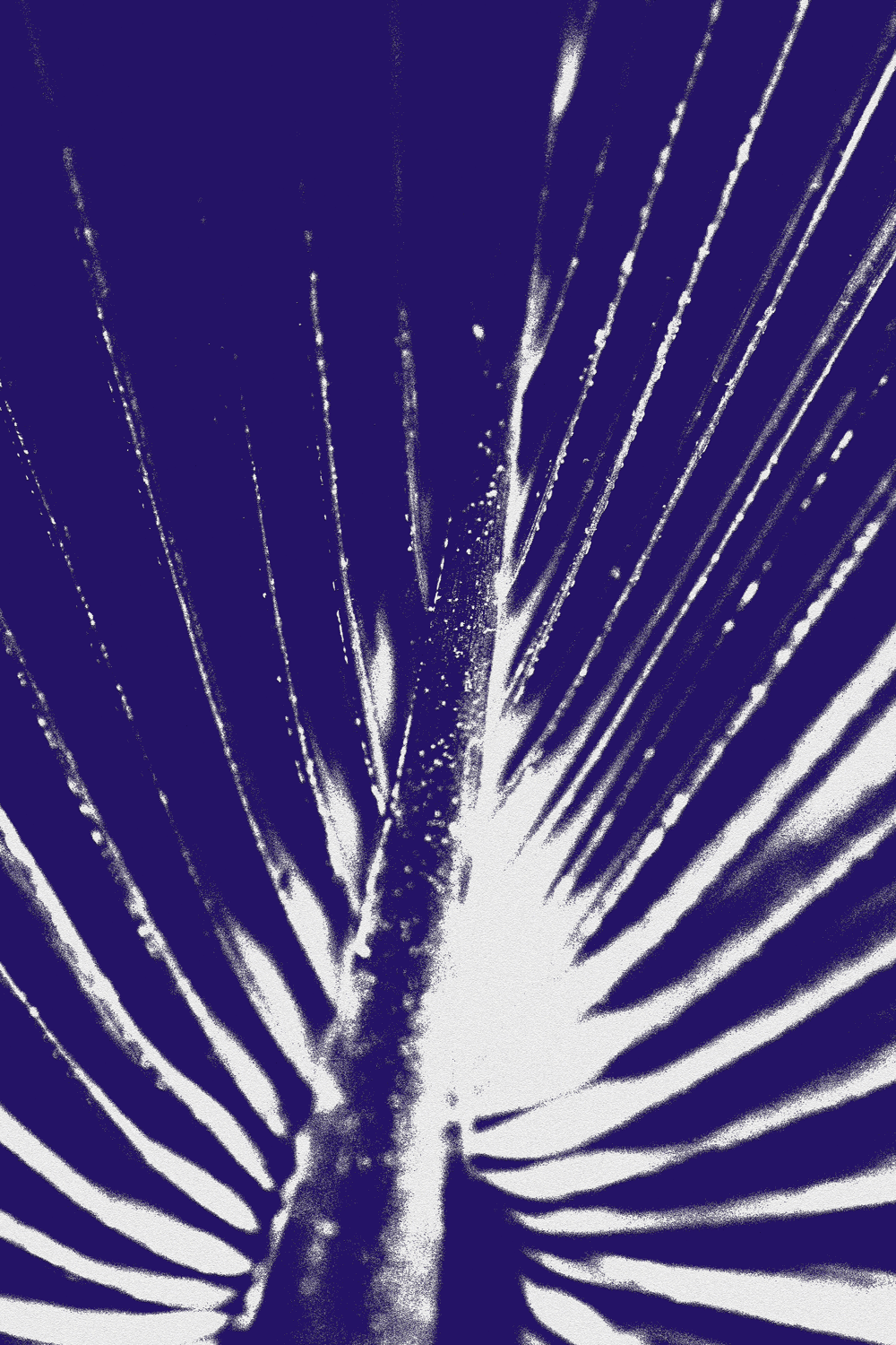 Graphic image of a fern